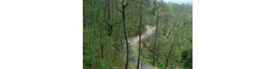 கர்ண பிரயாகை